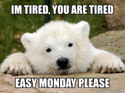 Popular Opinion Bear