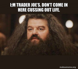 Hagrid - I should not have said that