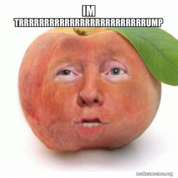 Impeached Donald Trump