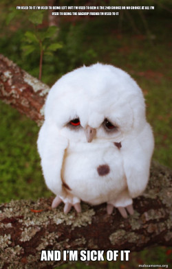 Sad Owl