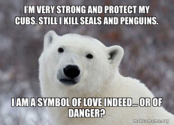 Popular Opinion Polar Bear