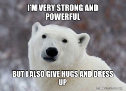 Popular Opinion Polar Bear