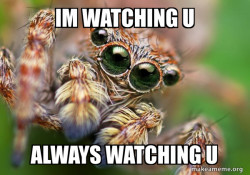 Hipster Spider