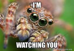 Hipster Spider