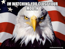 American Pride Eagle