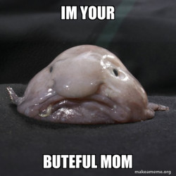 Blobfish