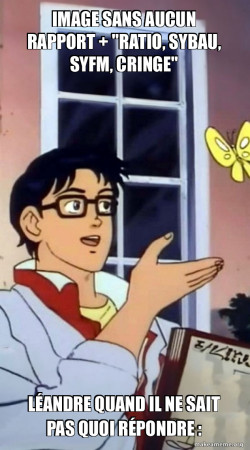 is this a butterfly