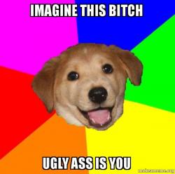 Advice Dog