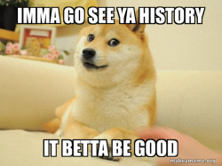 Doge