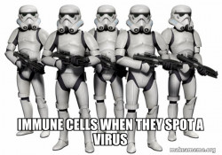 Storm Troopers