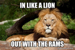 Contemplative Lion