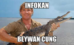 Steve irwin