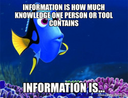 Dory from Nemo  (5 second memory)