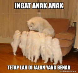 Storytelling Dog