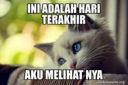 First World Cat Problems