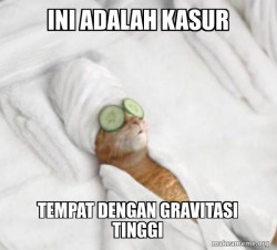 Pampered Cat Meme