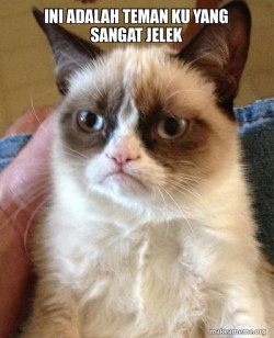 Grumpy Cat