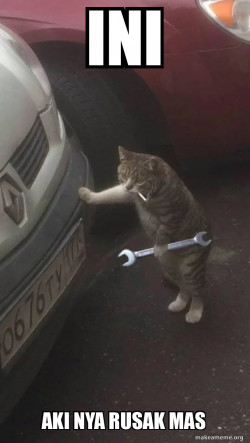 Mechanic Cat