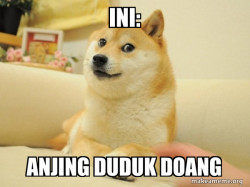 Doge