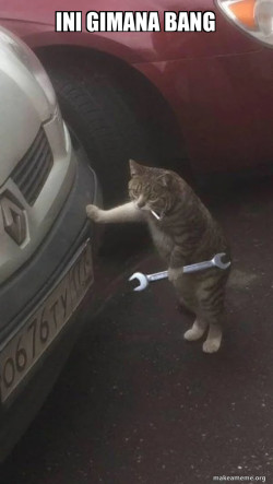 Mechanic Cat