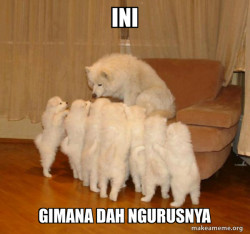 Storytelling Dog