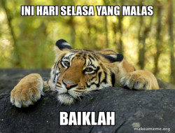 Confession Tiger
