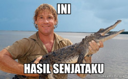Steve irwin