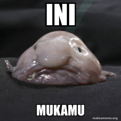 Blobfish