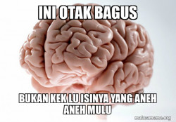 Scumbag Brain