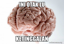 Scumbag Brain