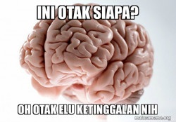 Scumbag Brain