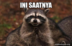 Evil Plotting Raccoon