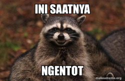 Evil Plotting Raccoon