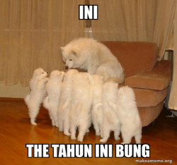 Storytelling Dog