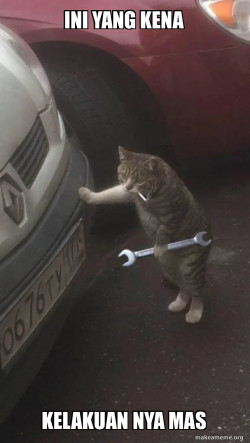 Mechanic Cat