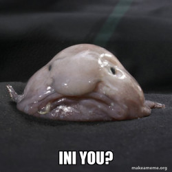 Blobfish