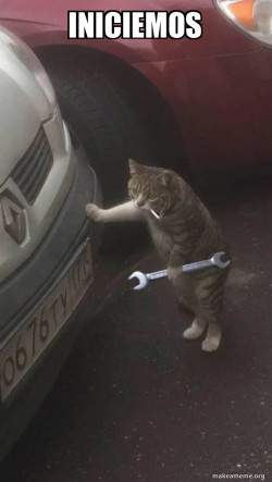 Mechanic Cat