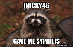 Evil Plotting Raccoon