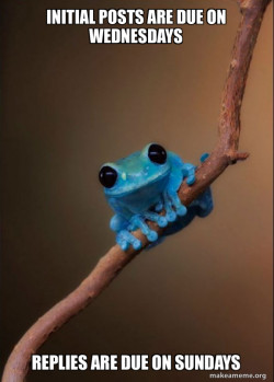 Small Fact Frog