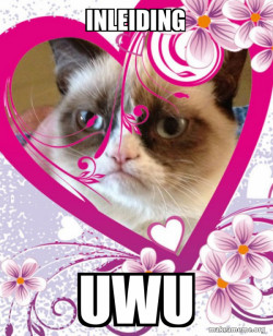 Grumpy cat Valentines Day