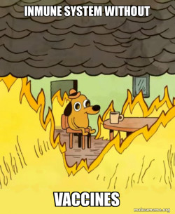 This Is Fine
