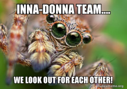 Hipster Spider