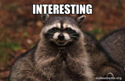 Evil Plotting Raccoon