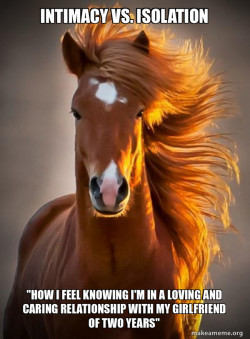 Ridiculously photogenic horse