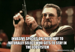Am I the only one