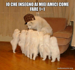 Scumbag Storytelling Dog