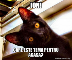 Overly Attached Cat