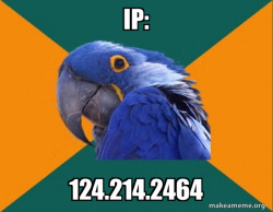Paranoid Parrot