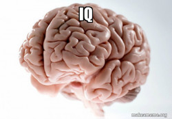 Scumbag Brain