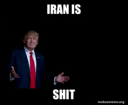 Trump Everything is FIne